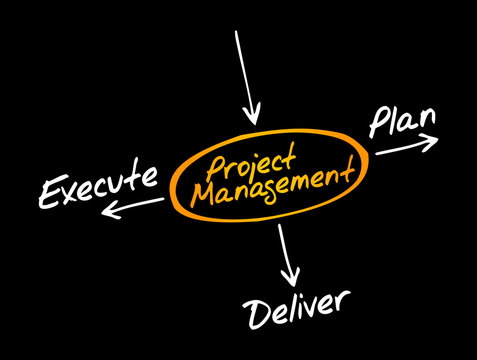 Project management diagram detailing essential lifecycle processes including plan, execute, and deliver for corporate organization, strategic planning, team coordination, and operational success.