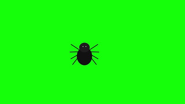 Cute little spider crawling across bright green background in this animated vector motion design footage for children and spooky themes