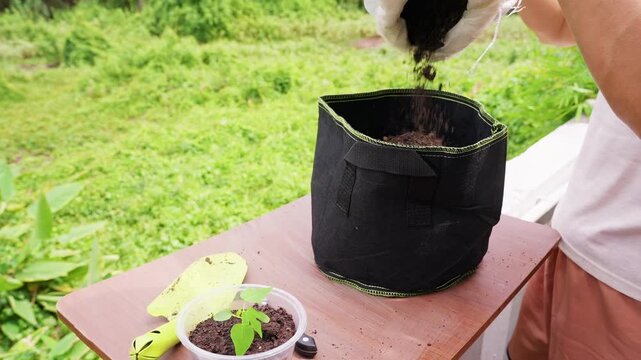 Woman Fills a Black Fabric Pot with Dark Soil beside Young Seedlings, Preparing Fertile Substrate for Transplanting and Healthy Plant Growth