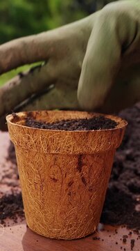Vertical video. Gardener Fills a Biodegradable Coconut Fiber Pot With Fertile Soil Outdoors, Sustainable Preparation for Planting and Organic Cultivation