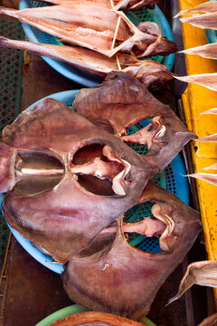 Closeup of dried stingrays and fish at a street market in Busan, South Korea.