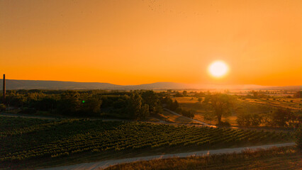 Obraz premium Aerial landscape of vineyard with sun on horizon. Warm evening light illuminates the countryside as birds fly across the sky.