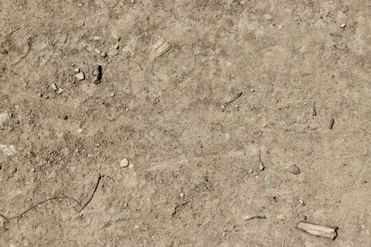 A close view of the hard dirt ground surface.