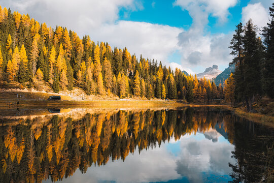 Lake Antorno with Autumn Forest and Dolomites Mountain Reflection in Italy