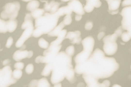 Leaf shadow and light beige background. Nature tropical leaves plant and tree branch shade with sunlight on wall texture for background wallpaper and design, shadow overlay effect