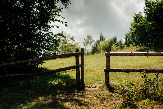 Rustic wooden log fence with opened gate, traversing a mountain meadow covered in grass and wildflowers. Surrounded by trees.