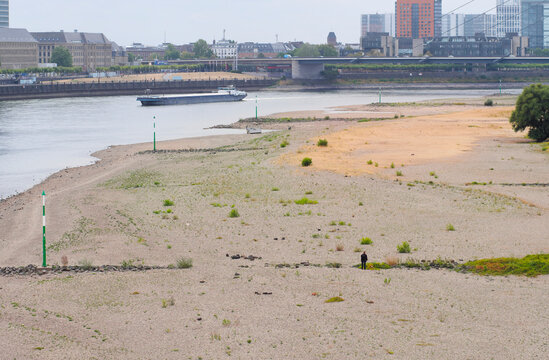 Low stream gauge of rhine river in D&uuml;sseldorf,Germany.Climate change,global warming concept,plants are conquering the former riverbed and ships can only operate with half of their cargo