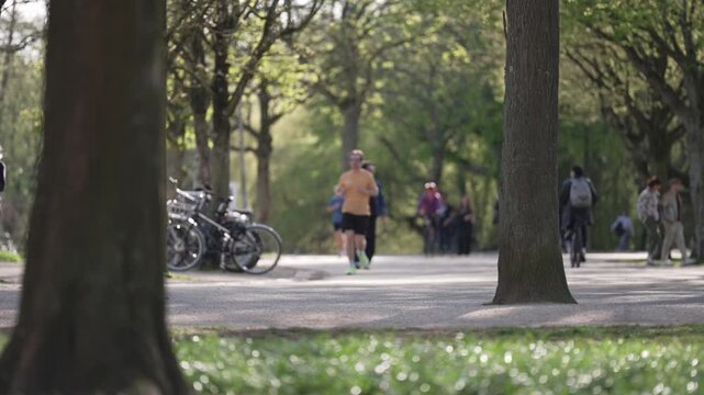 A street scene in Vondelpark showing runners along a tree-lined pathway alongside cyclists and pedestrians enjoying an active spring afternoon.