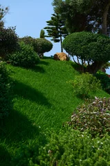 Fototapete Badezimmer Manicured green hill with trimmed shrubs, topiary trees and a stone bench in sunny garden  © Taras Grebinets