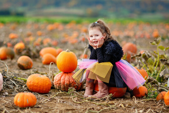 Little girl in witch costume with broom on pumpkin patch field in autumn. Child dressed up for Halloween celebration outdoors. Real life, real people