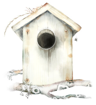 Watercolor hand drawn composition with vintage birdhouse, spider, branch covered with moss, lichen isolated on white background. Rustic illustration of nesting box for spring garden, woodland design