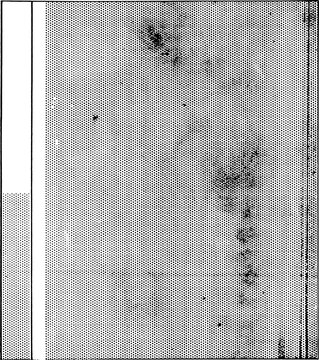 Large halftone grungy grid texture with a transparent background