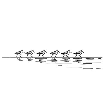 Minimalist line art illustration of a row of sandpipers walking on the shore
