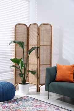 Cozy living room interior with folding screen, sofa and houseplant