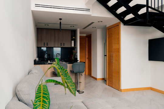 Apartment living room and kitchen