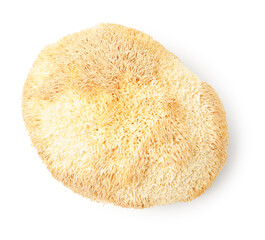 Functional Lion's mane mushroom isolated on white, top view © New Africa