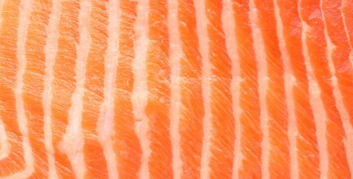 Texture of raw salmon meat as background, closeup