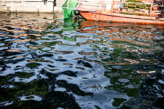 Water surface reflects light in a calm harbor during midday