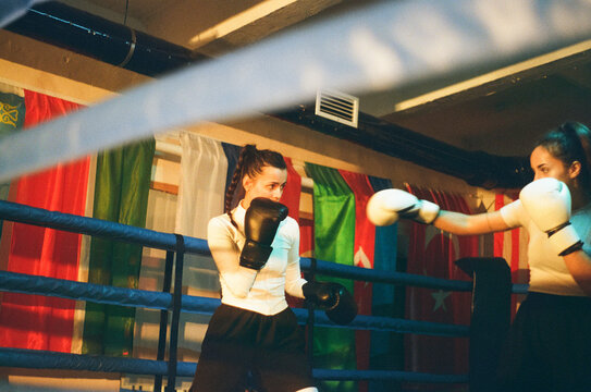 Woman boxer strikes sparring female partner in ring. Real boxing fight