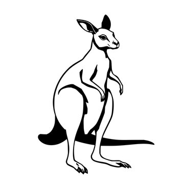 Kangaroo black line art isolated on white background featuring vector illustration with clean lines and minimalist design