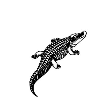 Crocodile black line art isolated on white background featuring reptile, animal, vector illustration with minimalist style and clean lines