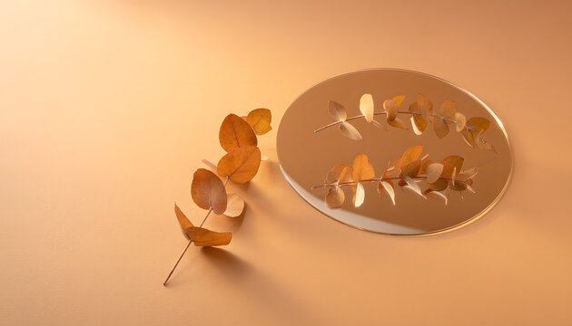 Minimalist Autumn Background with Amber Eucalyptus Branch and Oval Mirror Reflection on Warm Orange Surface