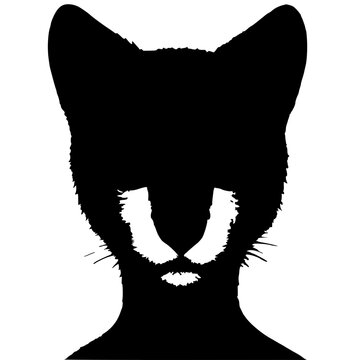 Cheetah black line art set with isolated animal illustration featuring feline, predator, and speed with minimalist design and vector style