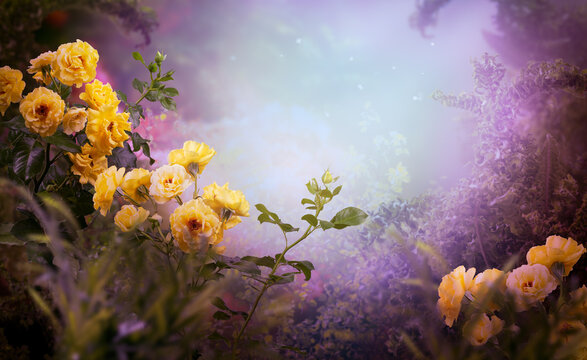 Fantasy garden with magical blooming rose flowers in fairy tale forest, fairytale glade wallpaper background, amazing magic tranquil misty landscape, scene in lilac colors and copy space.