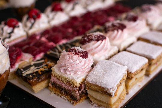 Elegante presentaci&oacute;n de mini tortas surtidas en filas. Variedad de sabores incluyendo frutos rojos, chocolate y crema para eventos especiales.