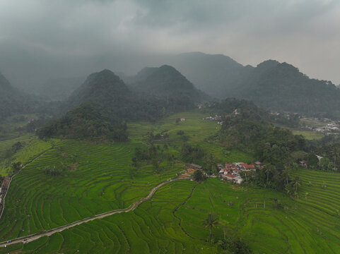 Aerial view of Cisalada Rice Terrace with lush green terraced fields, a winding dirt path, and small village houses nestled against misty mountains in Pamijahan, West Java, Indonesia.