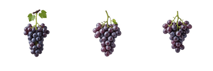 Fototapeta premium Fresh Red Grape Bunches PNG Clipart Set, Sweet Dark Purple Grapes with Leaves Isolated on Transparent Background, Organic Fruit Harvest Vector Cutout PNG Elements for Wine Labeling, Packaging, Menu an