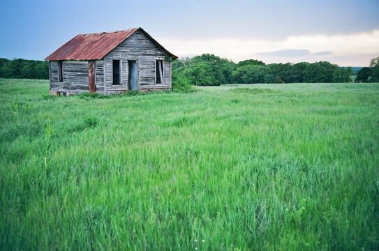 Abandoned weathered wooden farmhouse with rusty tin roof in lush green spring meadow under pastel sky in rural Oklahoma