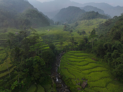 Aerial view of Cisalada Rice Terrace with lush green terraced fields and a flowing stream surrounded by misty mountains in Pamijahan, West Java, Indonesia.