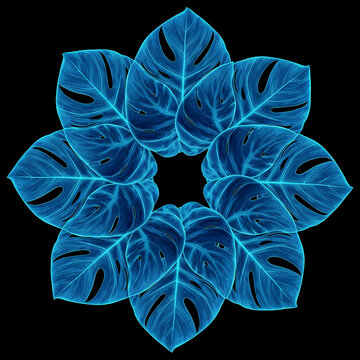 Abstract circular pattern of glowing blue monstera leaves on a black background.