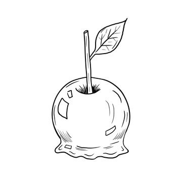 Hand drawn autumn toffee apple illustration