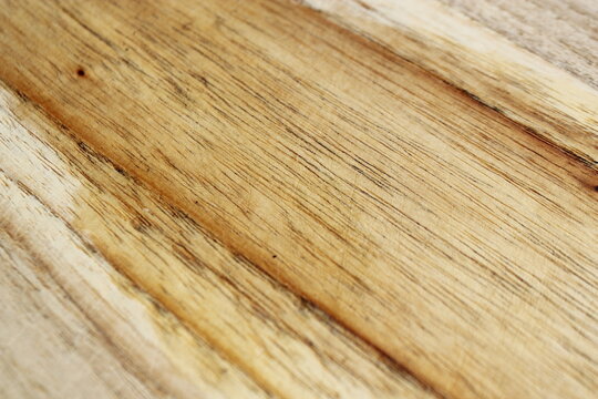 Natural Wood Grain Texture Background
