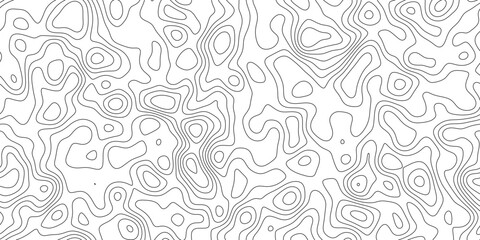 Modern topography line pattern background, abstract geographic mapping lines with smooth organic curves, for cover, banner and social media. © hossain