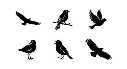 Fototapeta premium Diverse Bird Silhouettes Collection, Avian Vector Icons for Nature and Wildlife Designs, Flying and Perching Birds Set