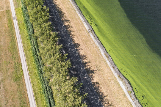 Aerial view of a dike separating a road from a body of water with a prominent green algal bloom in Middelharnis, South Holland, Netherlands.