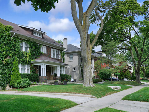Residential street with traditional detached houses and mature trees