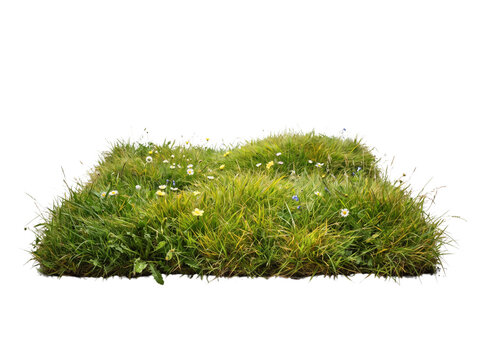 Patch of green grass with small wildflowers isolated on transparent background