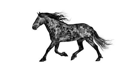 Dappled grey horse galloping with flowing mane and tail, isolated on transparent background © ELISA