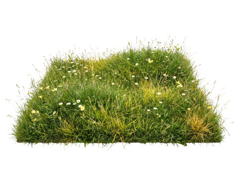 Patch of green grass with wildflowers isolated on transparent background