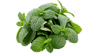 Fresh green mint leaves, aromatic herb bunch isolated on transparent background © ELISA