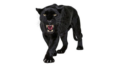 Aggressive black panther snarling with bared teeth, isolated on transparent background © ELISA