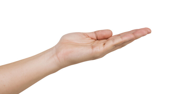 Open human palm extended upwards, isolated on transparent background