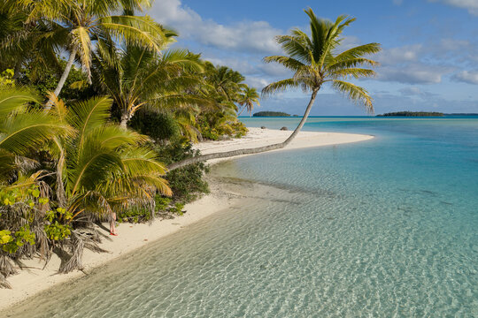 Aerial view of the white sand beach and turquoise lagoon of Tapuaetai with lush palm trees under a clear blue sky in Cook Islands.