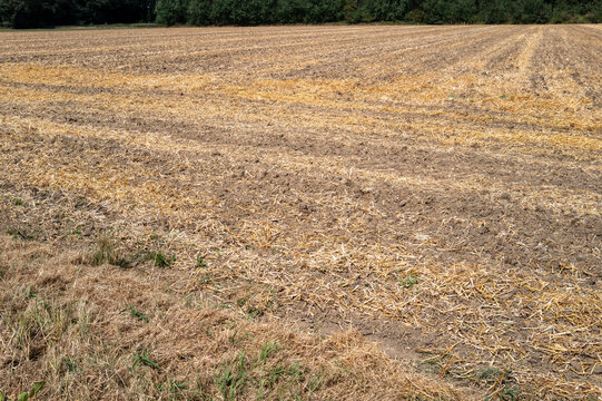 Harvested agricultural field with dry stubble and soil borken, germany