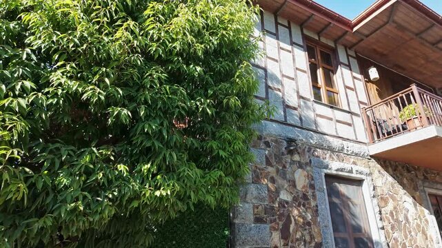 Traditional stone house facade with wooden balcony framed by lush green climbing foliage.