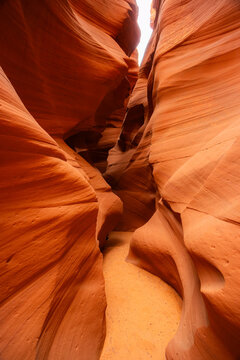 View of the smooth, flowing sandstone walls of Antelope Canyon with soft light filtering into the narrow slot canyon in Coconino County, Arizona, United States.